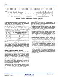X9521V20I-A Datasheet Page 13