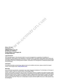 XC2364A104F100LABHXUMA1 Datasheet Page 2