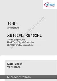 XE162HL20F80LAAFXQSA1 Datasheet Page 3