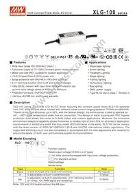 XLG-100-L-AB Datasheet Cover