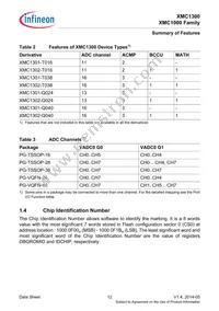 XMC1302T038X0016AAXUMA1 Datasheet Page 12