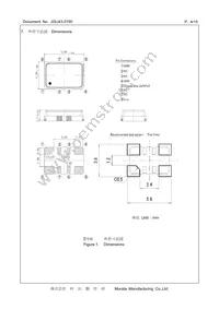 XNCLH10M000THJA0P0 Datasheet Page 4