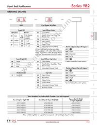 YB226CWSKW01-N-S Datasheet Page 4