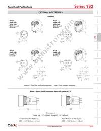 YB226CWSKW01-N-S Datasheet Page 10