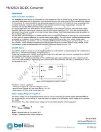 YM12S05 Datasheet Page 4