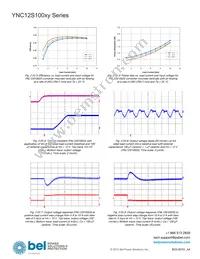 YNL12S10050-0G Datasheet Page 12