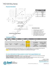 YNL12S10050-0G Datasheet Page 20
