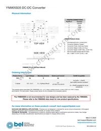 YNM05S05 Datasheet Page 19