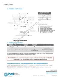 YNM12S05-G Datasheet Page 19