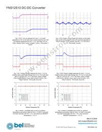 YNS12S10-0 Datasheet Page 19