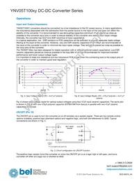YNV05T10033-D Datasheet Page 4