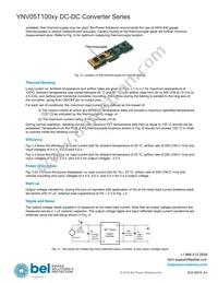YNV05T10033-D Datasheet Page 8