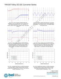 YNV05T10033-D Datasheet Page 11