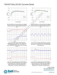 YNV05T10033-D Datasheet Page 12