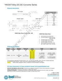 YNV05T10033-D Datasheet Page 20