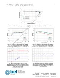 YNV05T16-0 Datasheet Page 13