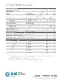 YNV12T10-DG Datasheet Page 3