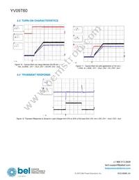 YV09T60-0G Datasheet Page 6