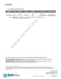 YV09T60-0G Datasheet Page 12