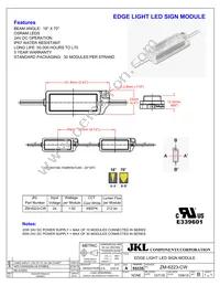 ZM-6223-CW Datasheet Cover