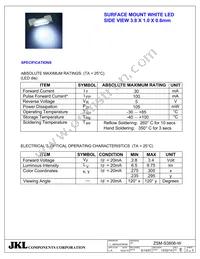 ZSM-S3806-W Datasheet Page 2