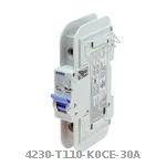 4230-T110-K0CE-30A