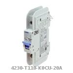 4230-T110-K0CU-20A