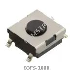 B3FS-1000