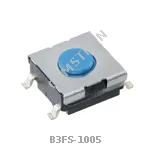 B3FS-1005