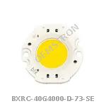 BXRC-40G4000-D-73-SE