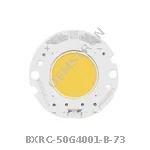 BXRC-50G4001-B-73