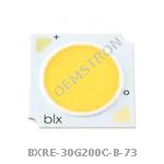 BXRE-30G200C-B-73