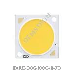 BXRE-30G400C-B-73