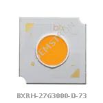 BXRH-27G3000-D-73