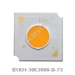 BXRH-30E3000-D-73