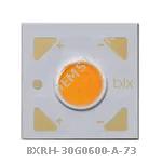 BXRH-30G0600-A-73