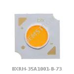 BXRH-35A1001-B-73