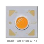 BXRH-40E0600-A-73
