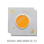 BXRH-40E3000-D-73