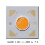 BXRH-40G0600-A-73