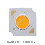 BXRH-40G1000-B-73