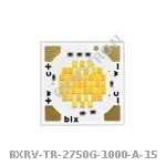 BXRV-TR-2750G-1000-A-15
