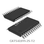 CAT5419YI-25-T2