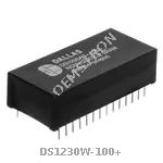 DS1230W-100+