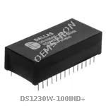 DS1230W-100IND+