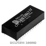DS1250W-100IND