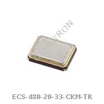 ECS-480-20-33-CKM-TR