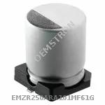 EMZR250ARA101MF61G