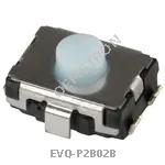 EVQ-P2B02B