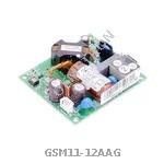 GSM11-12AAG